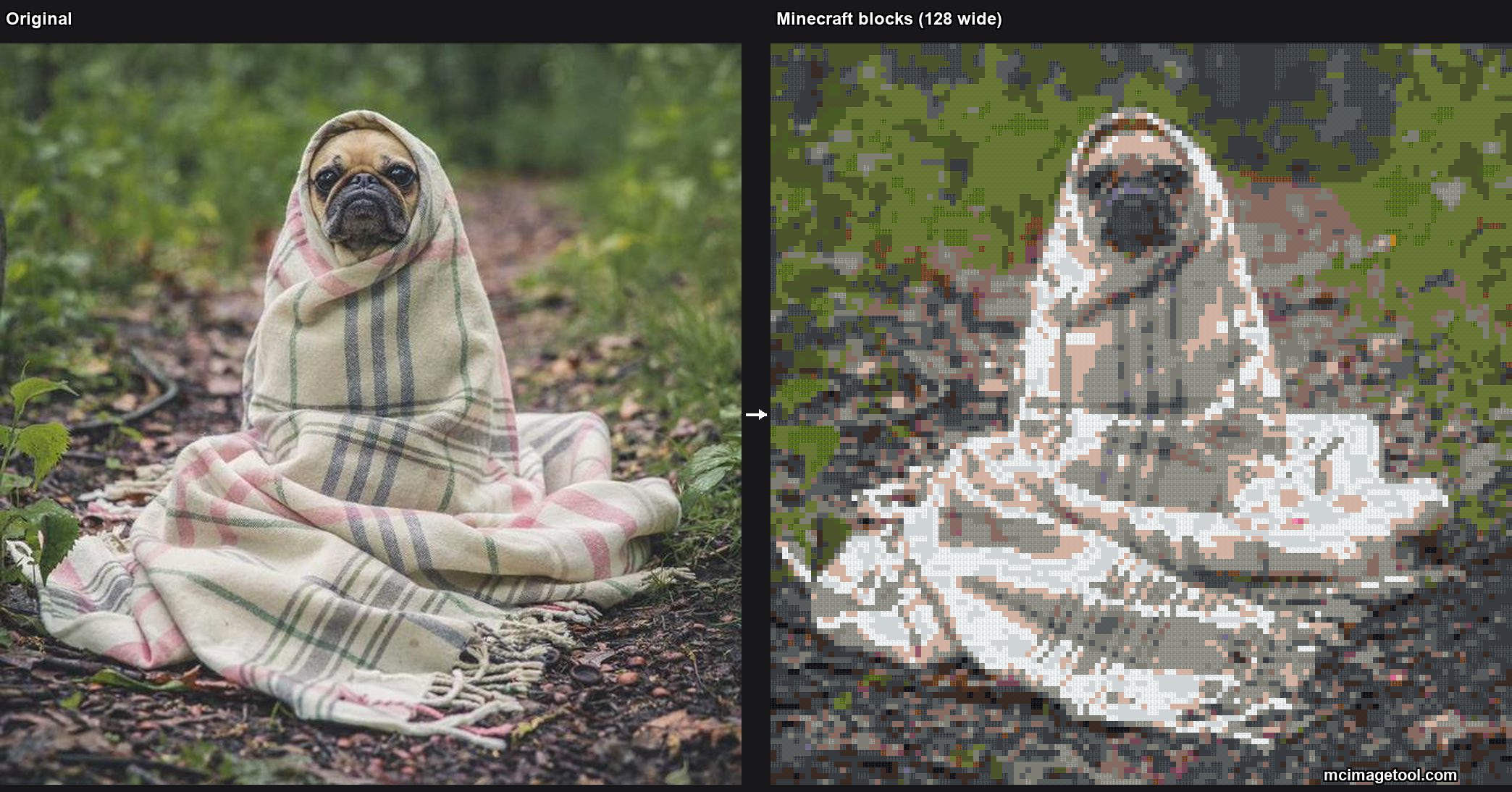 Photo of a pug wrapped in a blanket converted into Minecraft pixel art at 128 blocks wide